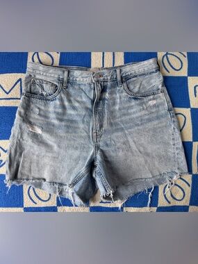 Everlane The Cheeky Short Light Indigo size 31